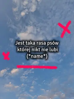 Jest taka rasa psów 
