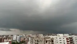 বিষাক্ত মায়া 