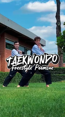 Taekwondo Freestyle