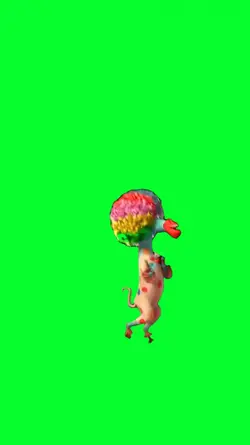 afro circus dance