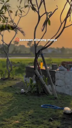 dilarang manja 