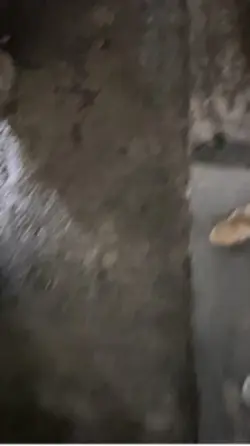 Coming down fyc 