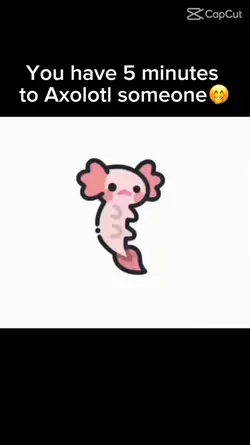 axolotl 