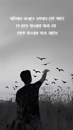 যাও পাখি বলো তারে 