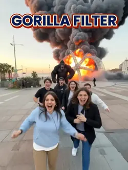Gorilla filter