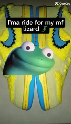 Lizard…..