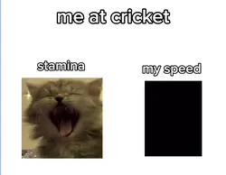 name anything