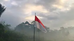 CINEMATIC 6KLIP KECE