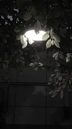 Sài Gòn tôi mưa 