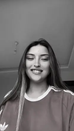 Denge33