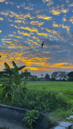 laut kidul
