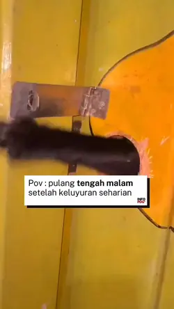 Kucing pulang malam