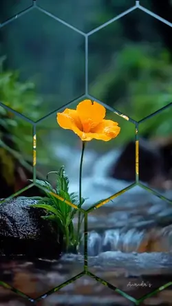 Flower in Autumn
