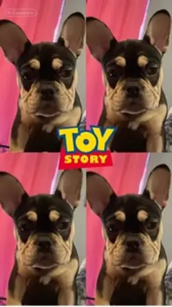 Toy Story dog 
