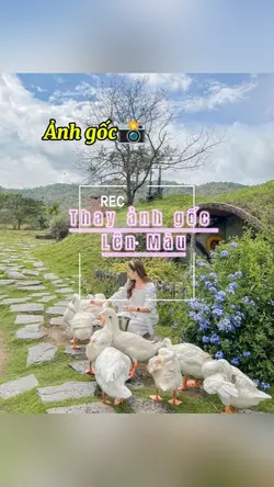Chỉnh gốc lên màu 