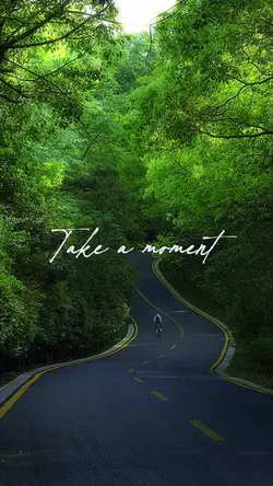 Take a moment to