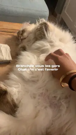 Ptdr 🤣