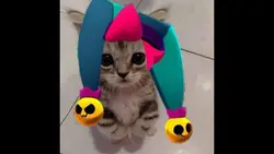 ödevleriyapmadım..