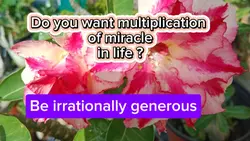 be generous to god