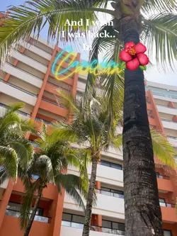 Cancún🥹
