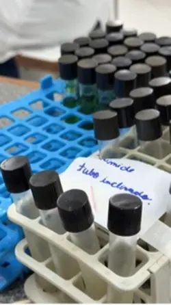 Aula prática micro