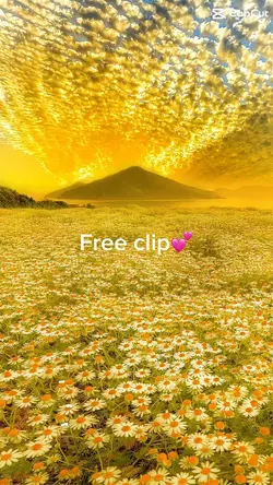 Free clip💕
