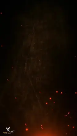 ريشه رسام