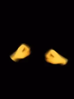 👀🧊