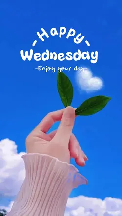 Happy Wednesday