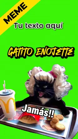 Jamás!!!