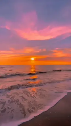 Filter Sunset