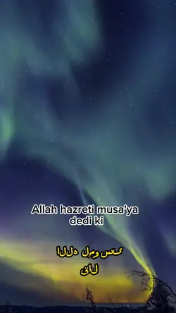 Dini video