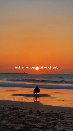 avicci said