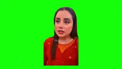 CapCut Green Screen 