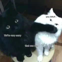 we're very sorrry