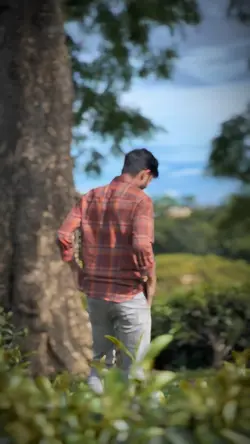 Template video