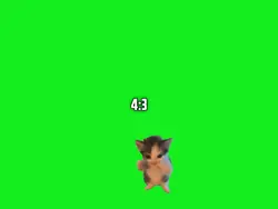 Kicau Mania 4:3