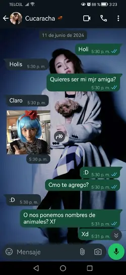 Lo siento 