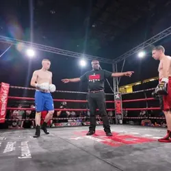 Influencers boxing