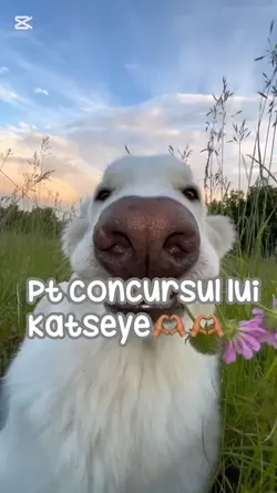 pt concurs