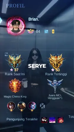 ai lift x profil ml