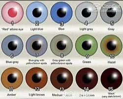 eyes 10?