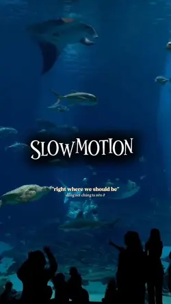 5 video slow 