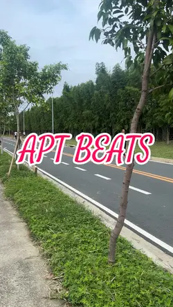 APT beat