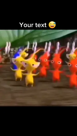Funny meme video 