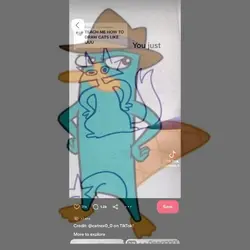 perry the platypus??