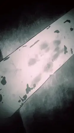動画又は静止画
