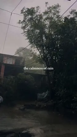 calm of rain