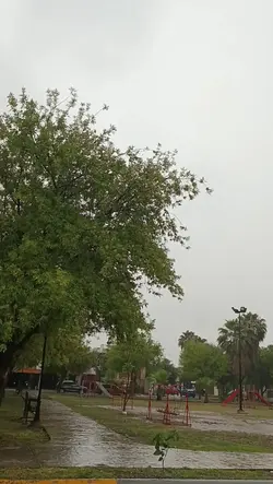 muy Joan sebastian