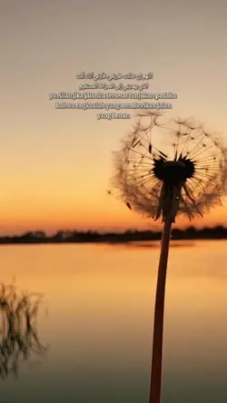 Islamic quotes